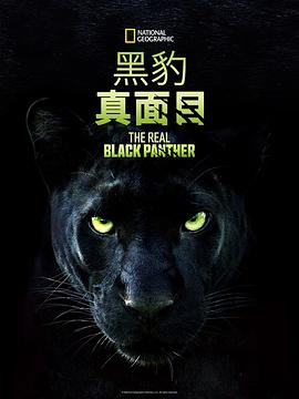 真黑豹無雙