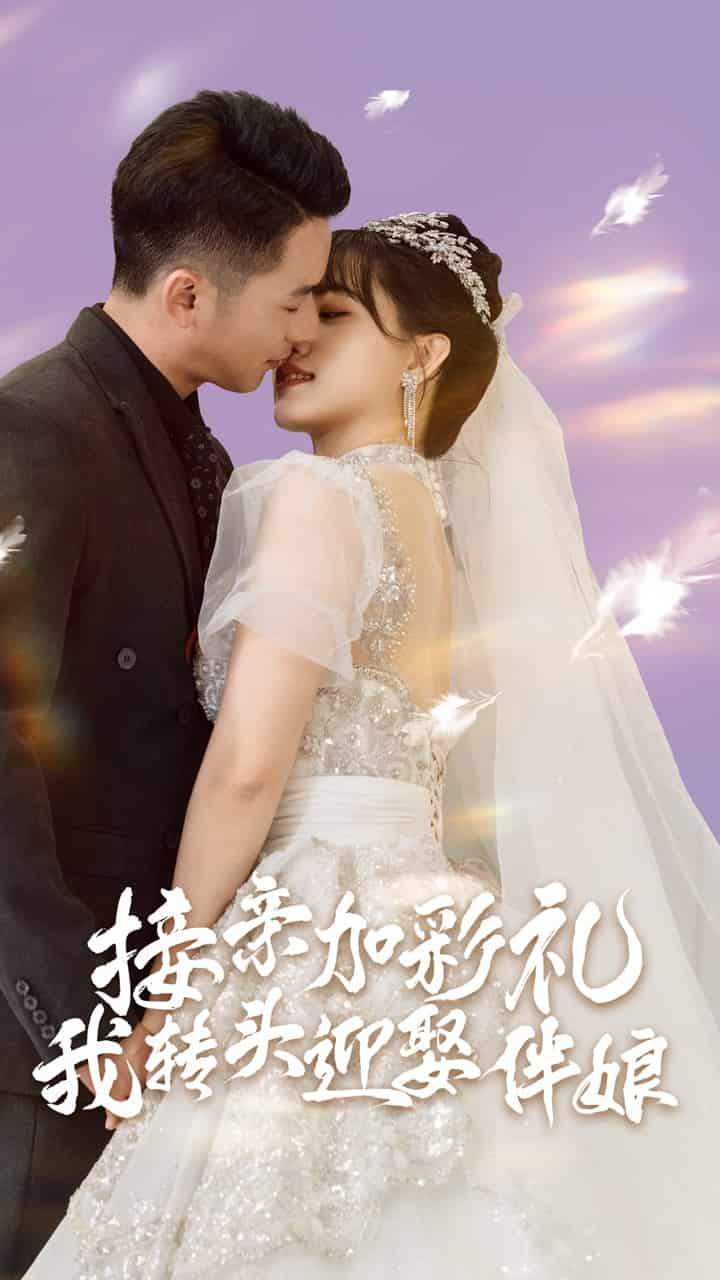 接親加彩禮，我轉(zhuǎn)頭迎娶伴娘(全集)