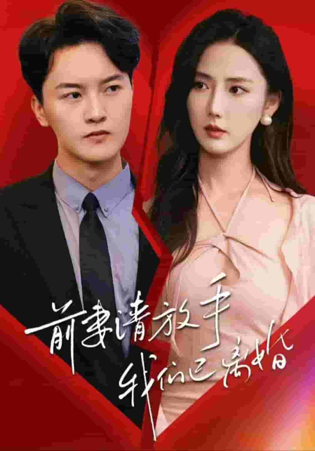 前妻請(qǐng)放手，我們已離婚(全集)