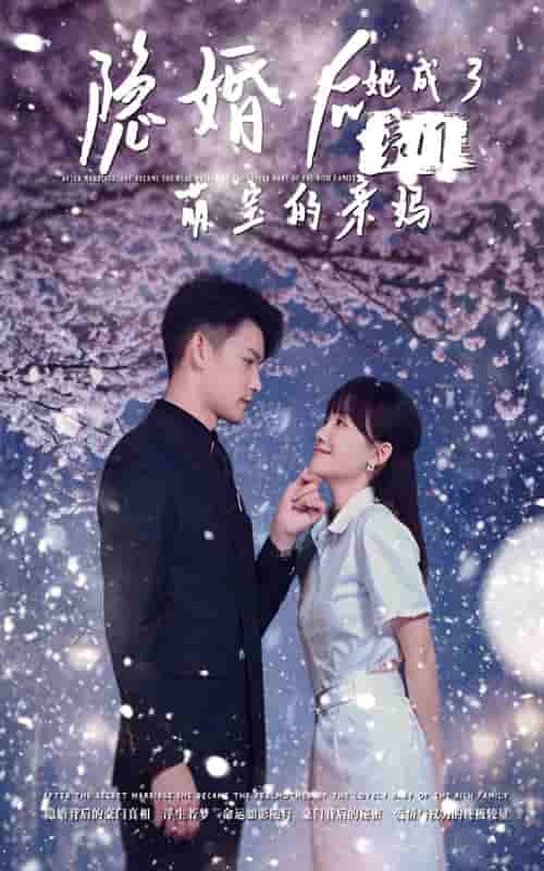 隱婚后，她成了豪門萌寶的親媽(全集)