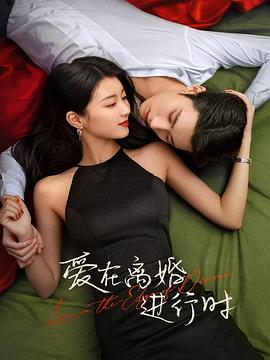 愛(ài)在離婚進(jìn)行時(shí)2025(全集)