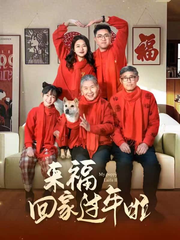 來?；丶疫^年啦(全集)