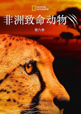 非洲致命動物第六季(全集)
