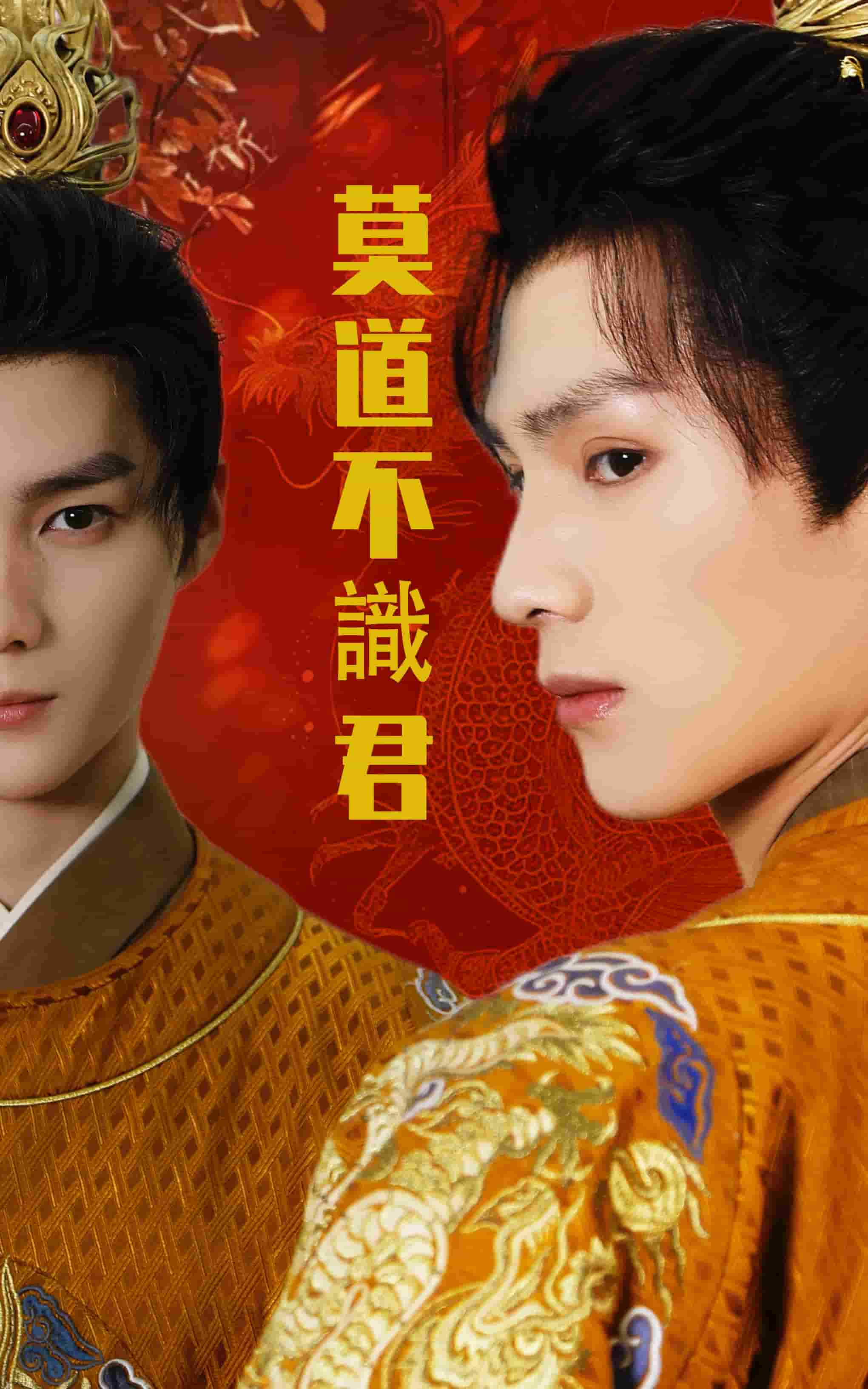 莫道不識君(全集)