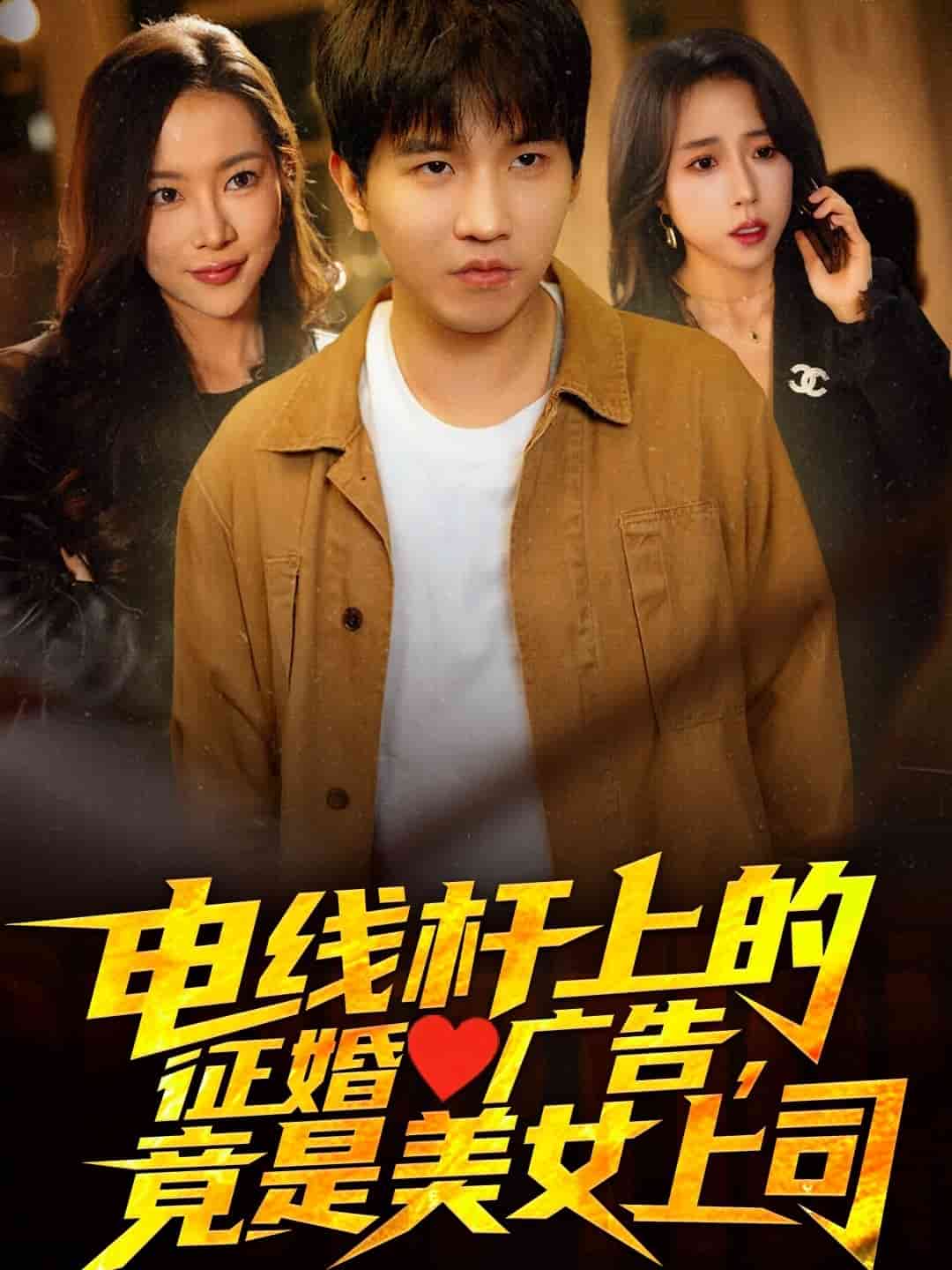 電線桿上的征婚廣告，竟是美女上司(全集)