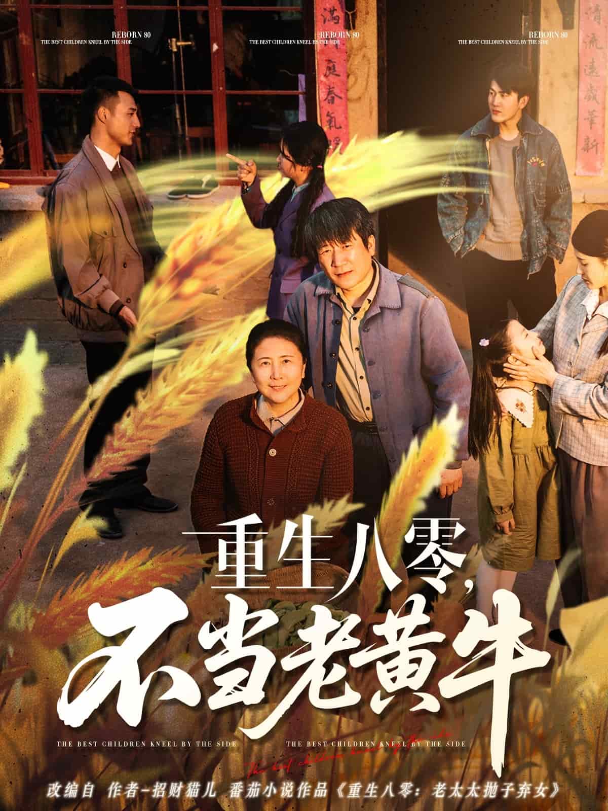 重生八零，不當(dāng)老黃牛(全集)