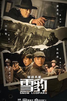 雪豹之暗戰(zhàn)天機(jī)(全集)
